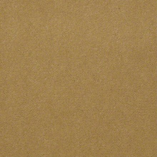 Philadelphia Commercial Baytowne III 36 Suede Gold Shaw