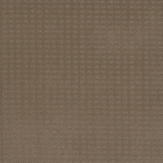 Dreamweaver Carpet Superb Deer Path DREAMWEAVER