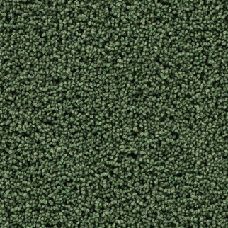 Mohawk Carpet Gentle Path Lucky Clover Mohawk