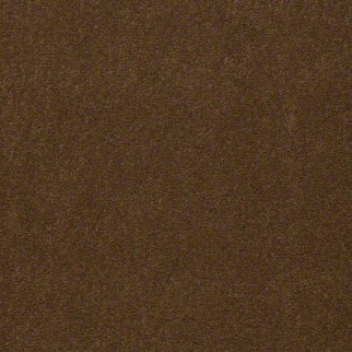 Philadelphia Commercial Baytowne III 36 Olive Twist Shaw