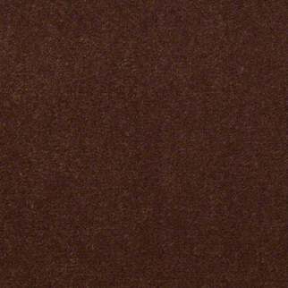 Philadelphia Commercial Baytowne III 30 Root Beer Shaw