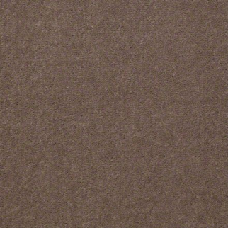 Philadelphia Commercial Baytowne III 36 Bashful Taupe Shaw