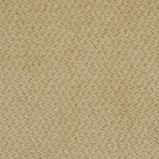 Masland Carpets New Hope Antique Bronze Masland