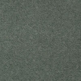 Aladdin Carpet Accelerator Plus Teal Splash MISSING