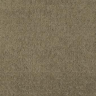 Masland Carpets Matisse Coffee Bean Masland