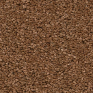 Tuftex Elegant Beauty Autumn Glaze SHAW