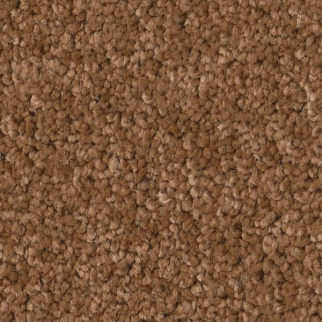 Tuftex Enchanting Autumn Glaze SHAW