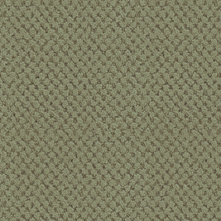 Masland Carpets La Parade Meadow Masland