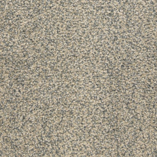 Masland Carpets This and That Moon Dust Masland