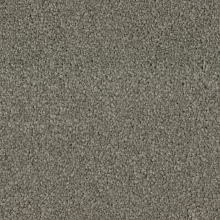 Dixie Home Spring Break Moss