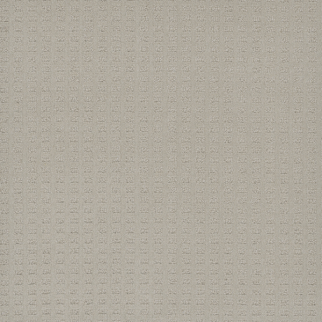 Dreamweaver Carpet Superb Cloud Nine DREAMWEAVER