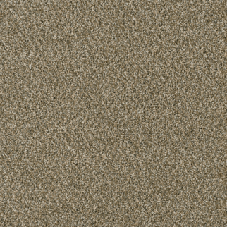 Dreamweaver Carpet Yellowstone Sienna Sand DREAMWEAVER