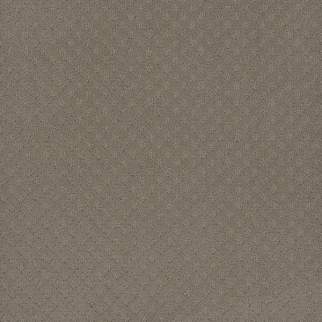 Dreamweaver Carpet Capri Timber Ridge DREAMWEAVER