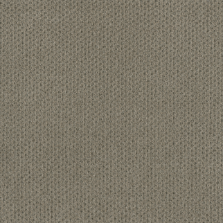 Dreamweaver Carpet Moon Bay Timber Ridge DREAMWEAVER