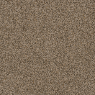 Dreamweaver Carpet Toast Of The Town Oakfield DREAMWEAVER