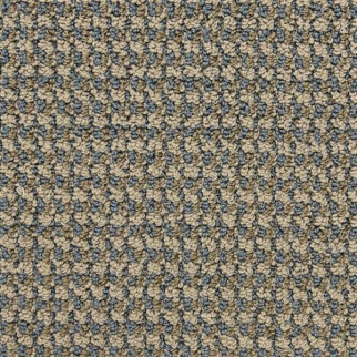 Masland Carpets Tango Piroutte Masland