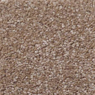 Shaw Floors What's Up Acorn SHAW