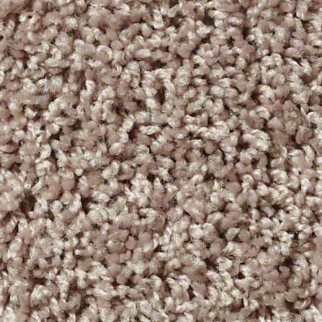 Shaw Floors XV442 Ancient Stone SHAW