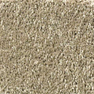 Shaw Floors Basic Rules Khaki SHAW