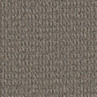 Shaw Floors Prelude Lead In SHAW