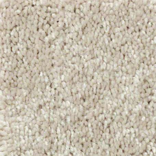 Shaw Floors Well Played I 15 Natural Beige SHAW