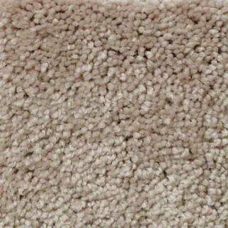 Shaw Floors Well Played II 15 Natural Beige SHAW