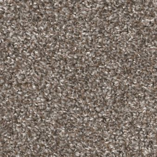 Shaw Floors Soft Effervescence Nature Trail SHAW