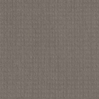 Shaw Floors Essential Now River Run SHAW