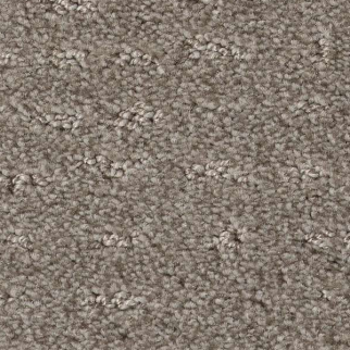 Shaw Floors Chic Nuance River Run SHAW