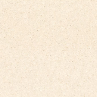 Horizon Carpet Quality Life Rococo Mohawk