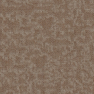 Philadelphia Commercial Mindful Movement Saddle Shaw