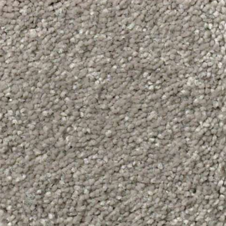 Shaw Floors Solidify III 12 Tree Bark SHAW