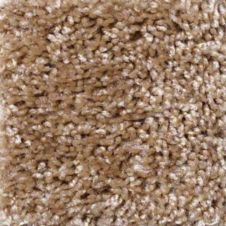 Shaw Floors Dreamin 12' Veranda SHAW