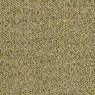 Philadelphia Commercial Gardenscape (T) Wheat Grass Shaw