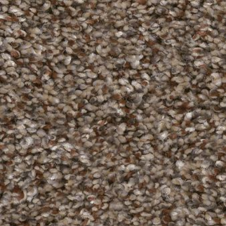 Shaw Floors Yes You Can I 12' Worn Path SHAW