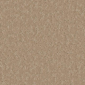 Shaw Floors Clever Choice Worn Path SHAW