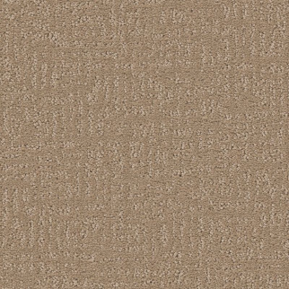 Shaw Floors Clever Design Worn Path SHAW