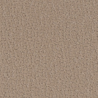 Shaw Floors Studio Set Worn Path SHAW