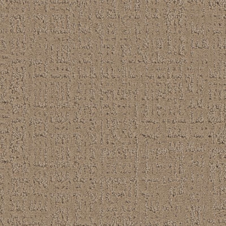 Shaw Floors Studio Plaza Worn Path SHAW