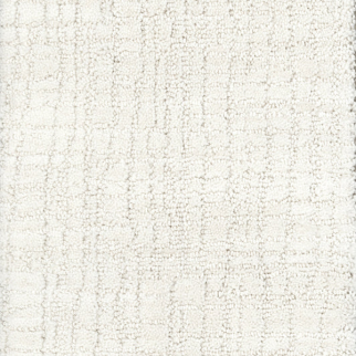 Masland Carpets Vision Angelic Masland