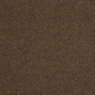 Philadelphia Commercial Windsurf Bramble Shaw