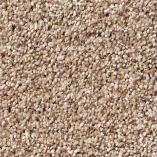 Shaw Floors Anso It Goes Caravan SHAW