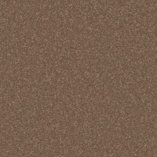 Shaw Floors Awaken Spirit I 12' Copperglaze SHAW