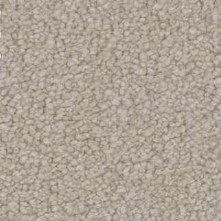 Tarkett Home Carpets Allure Dazzle LEXMARK