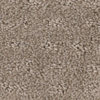 Shaw Floors Chic Nuance Desert View SHAW