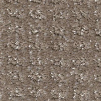 Shaw Floors Stay Fit Dirt Road SHAW