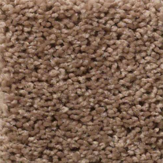 Shaw Floors XV442 Meadowlark SHAW