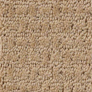 Shaw Floors Ray Of Light Natural Wood SHAW