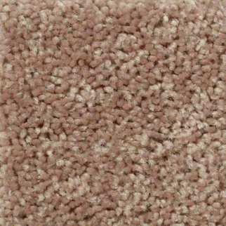 Shaw Floors Fielders Choice 12 Rio Grande SHAW