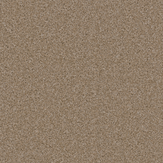 Dreamweaver Carpet Broadcast Plus Sawgrass DREAMWEAVER